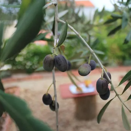 דירה Magnolija *