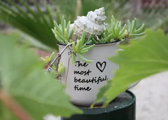 Διαμέρισμα Magnolija
