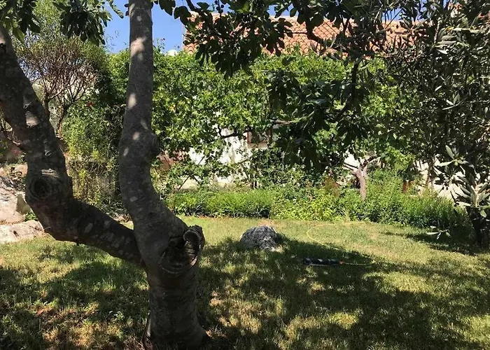 Magnolija * Lukoran