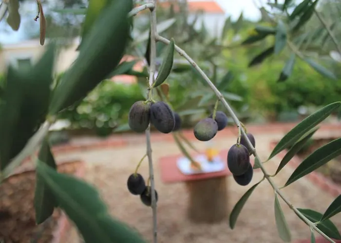 Διαμέρισμα Magnolija *