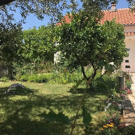 Apartment Magnolija Lukoran