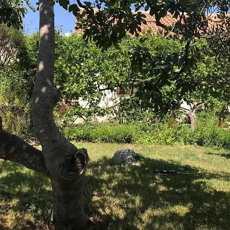 Magnolija * Lukoran