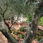 Magnolija