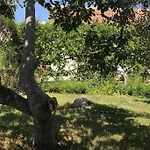 Magnolija * Lukoran